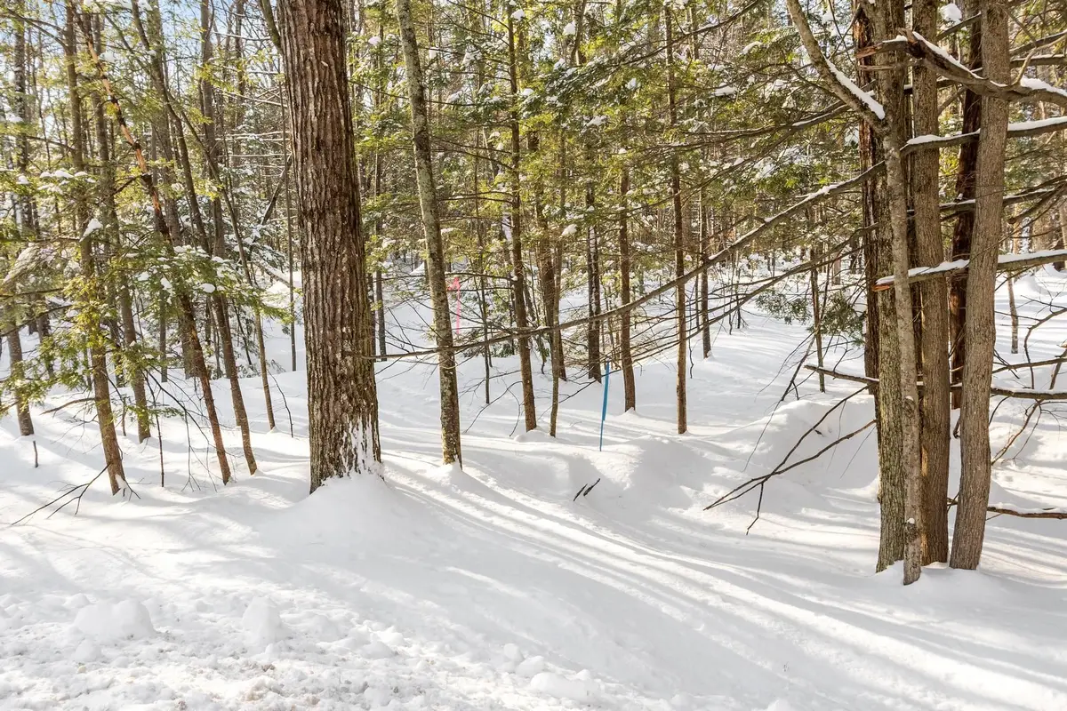 0-3 Kendall Hill Road #5-56-3, Monterey Vernon, NH 03057 - Image #1