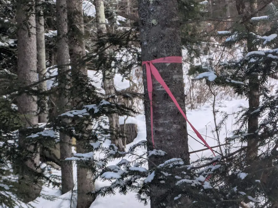 111 Swiftwater Circle, Haverhill, NH 03765-4413 - #2