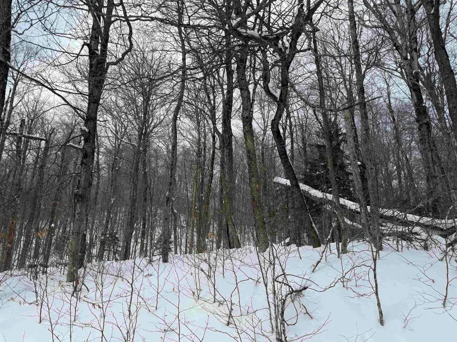 326A Bergabhang Drive, Stamford, VT 05352 - #3