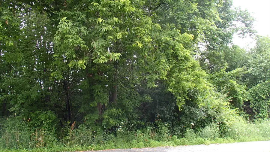 South Lane #0230082, Center Rutland, VT 05736 - Image #3