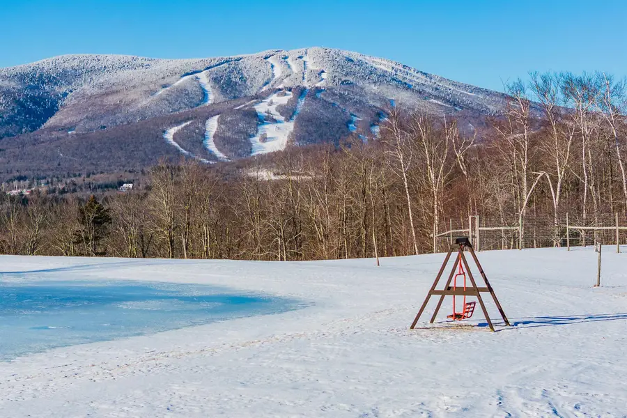 557 Trager Road, Jamaica, VT 05343 - #2