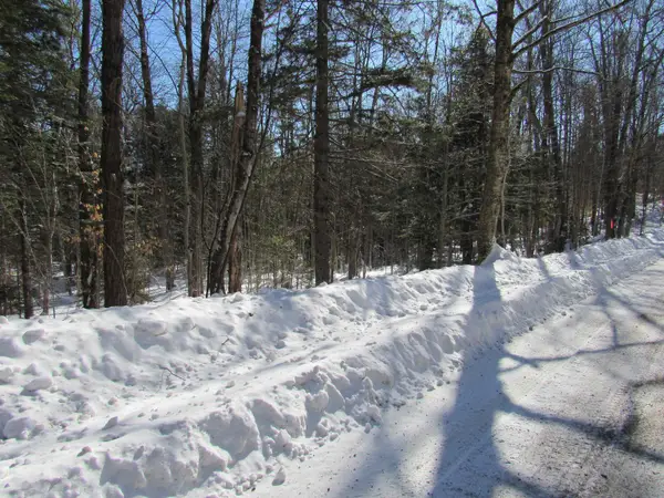 000F-320 Bourbon Run, Jamaica, VT 05343