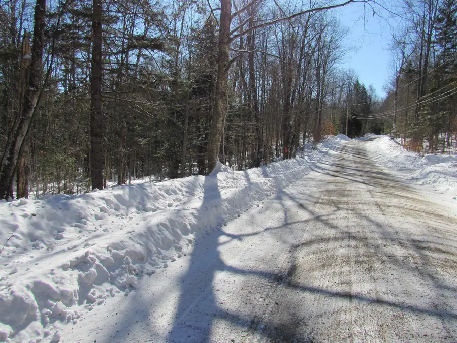 000F-320 Bourbon Run, Jamaica, VT 05343 - #2