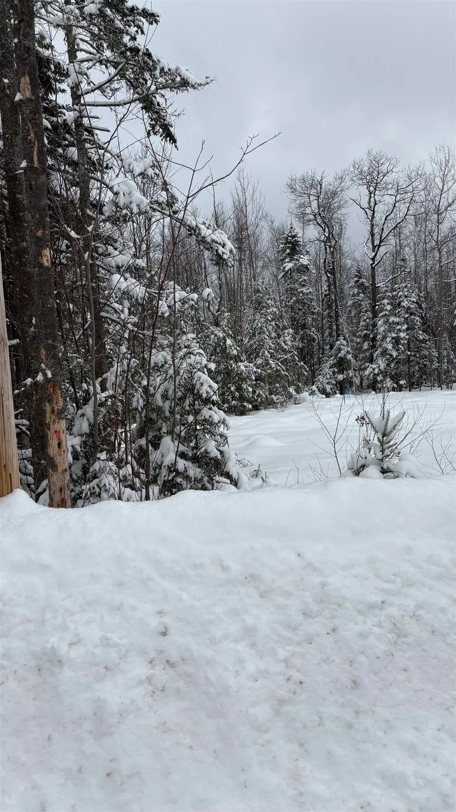 7 James Street, Bethlehem, NH 03574 - #2