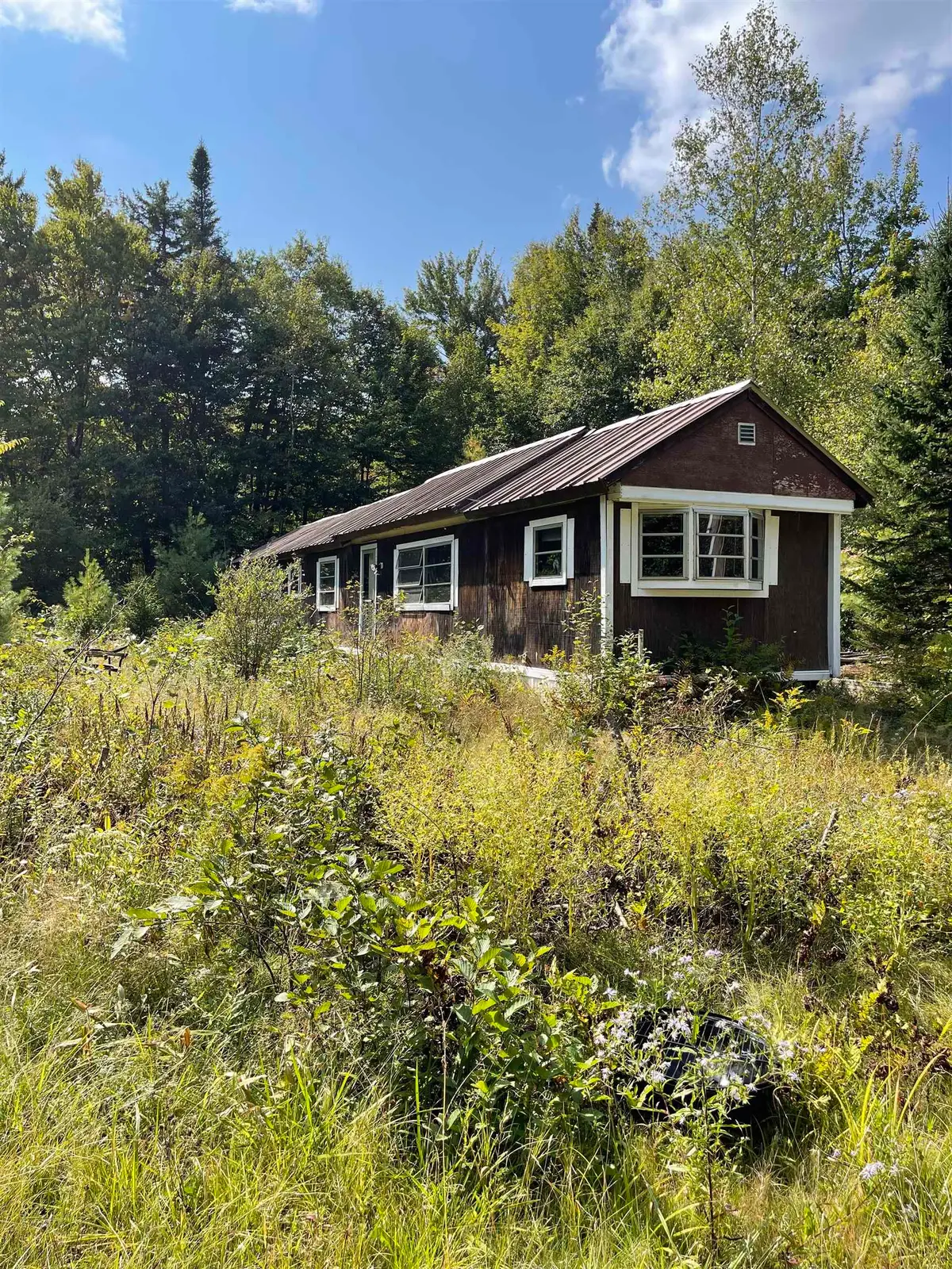 20 Brock Lane, Groton, NH 03241 - #1