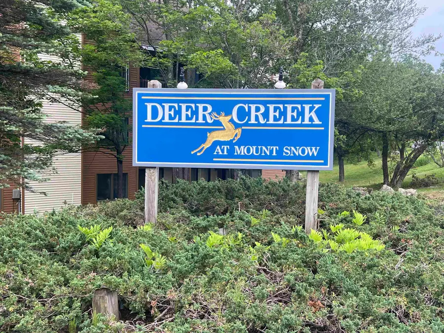 8B Deer Creek, Dover, VT 05356 - #2