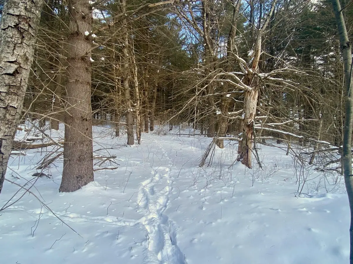 90 VT Route 140, Tinmouth, VT 05773 - #1