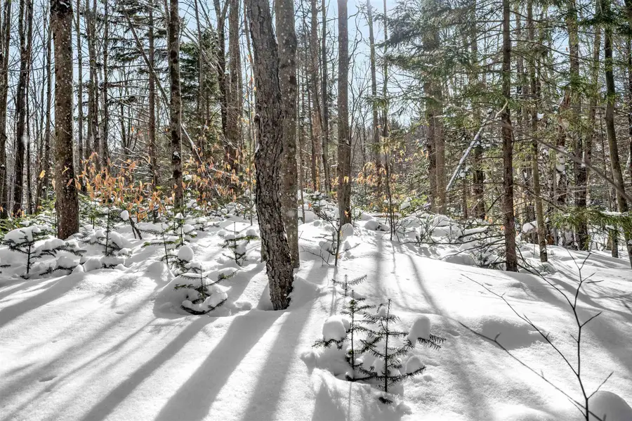 1984 West Hill Road #2, Warren, VT 05674 - #2