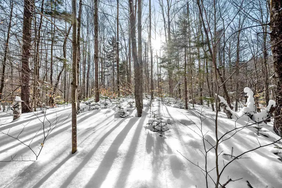 1984 West Hill Road #2, Warren, VT 05674 - #3