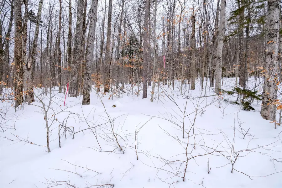 0 Markham Mountain Road, Andover, VT 05143 - #2