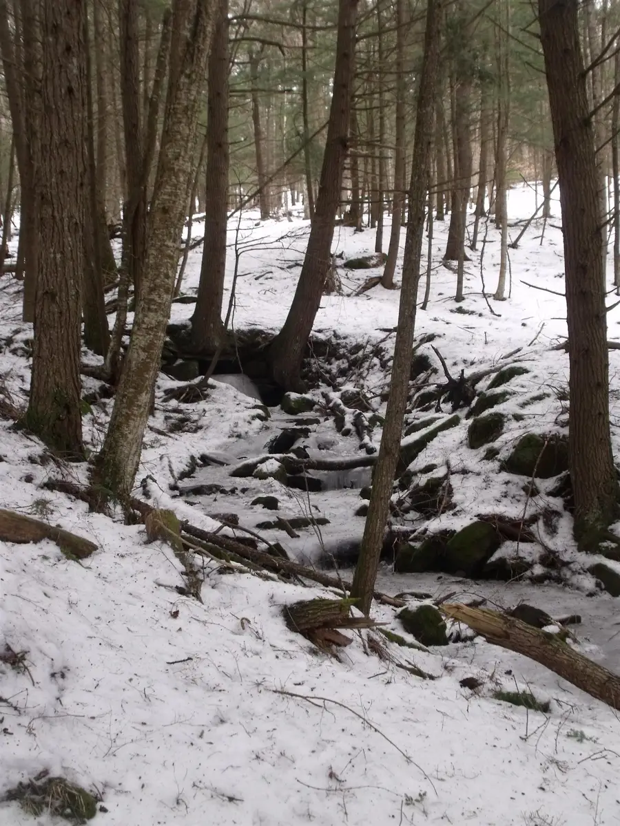 3186 South Road, Woodstock, VT 05091 - #2