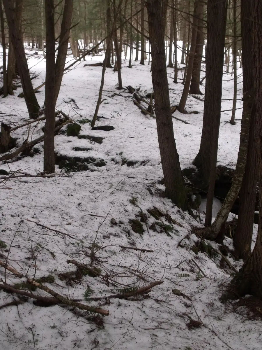 3186 South Road, Woodstock, VT 05091 - #3