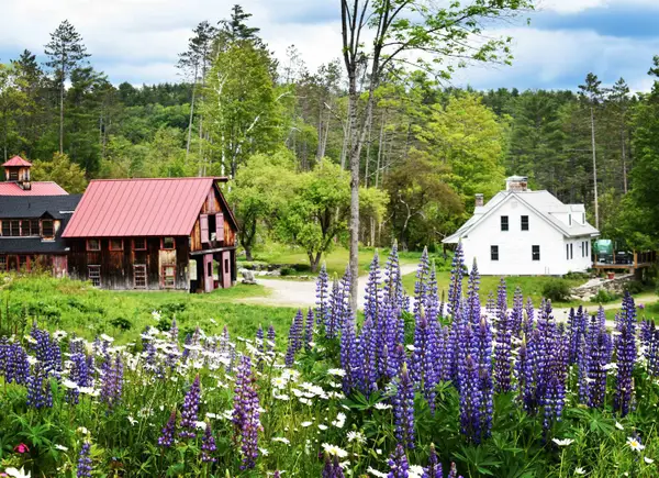 4669 Vermont Rte 100, Londonderry, VT 05148