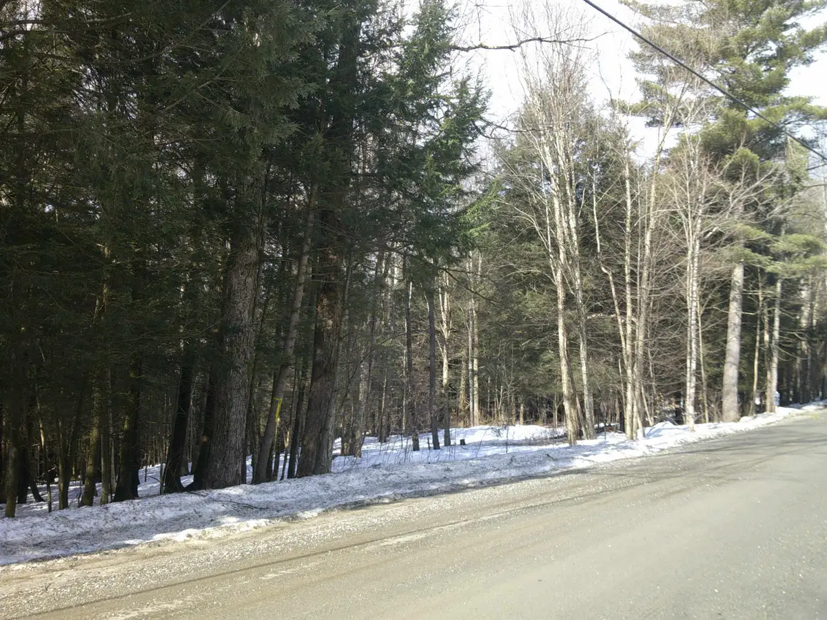 0 Plot Road #2, Johnson, VT 05656 - #1