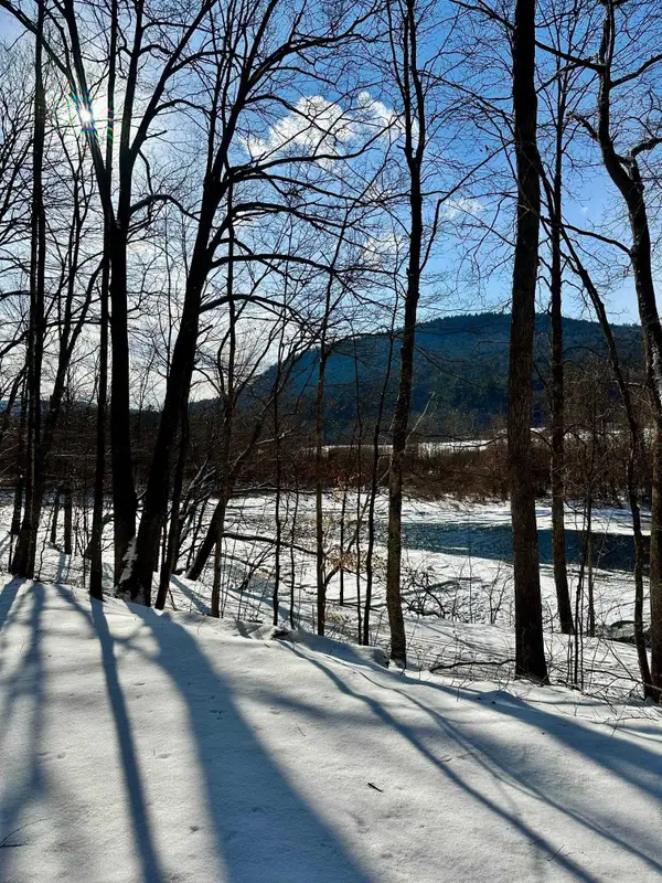 0 Ellen Ware Road, Townshend, VT 05353