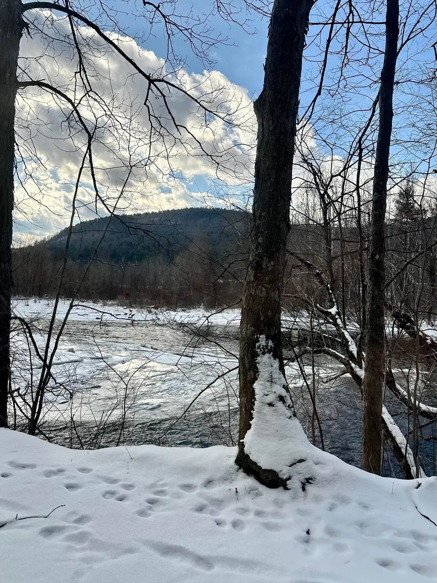 0 Ellen Ware Road, Townshend, VT 05353 - #2
