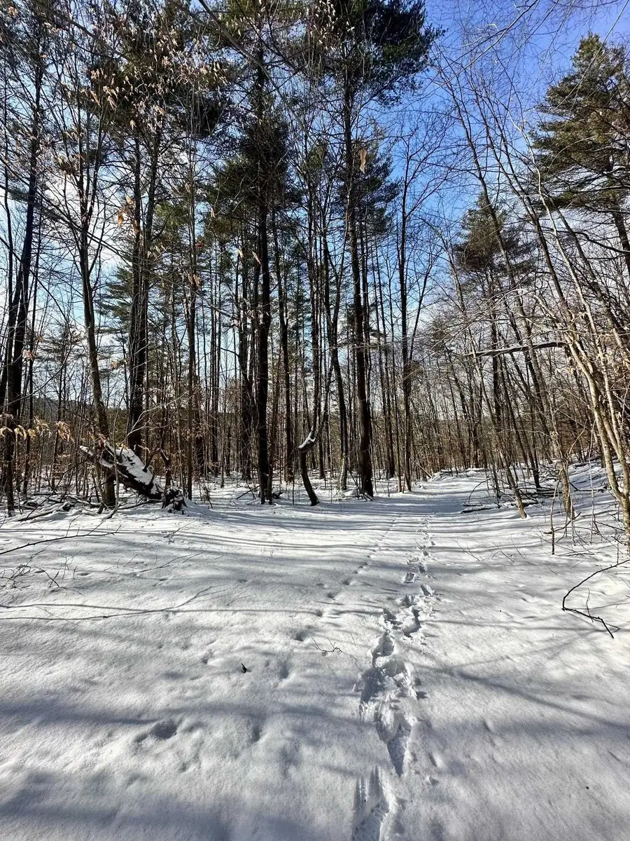 0 Ellen Ware Road, Townshend, VT 05353 - #3