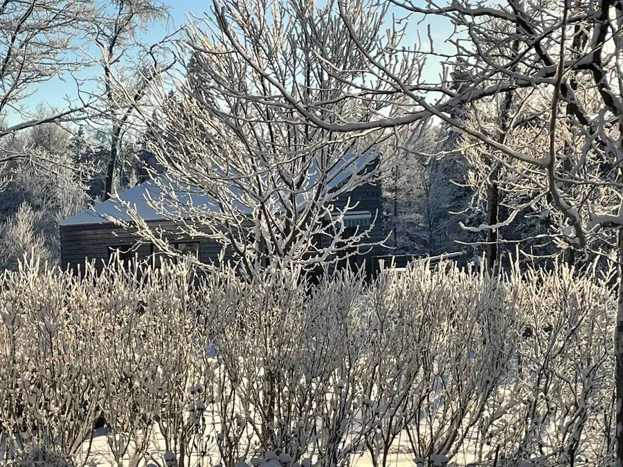 1069 Bert White Road, Huntington, VT 05462 - #3