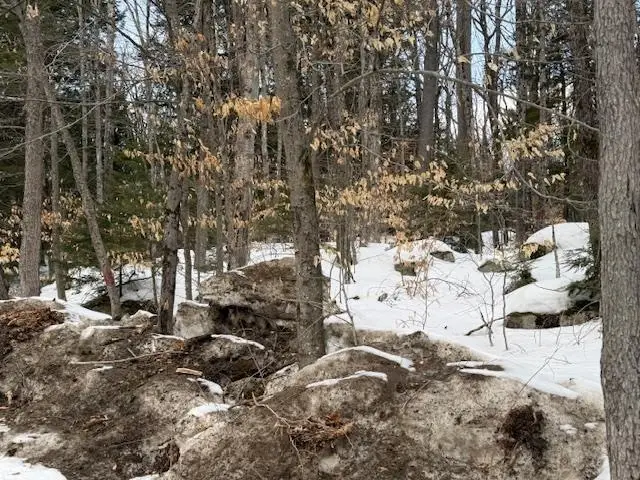 Map 6 Lot 103 Route 16, Albany, NH 03818 - #1