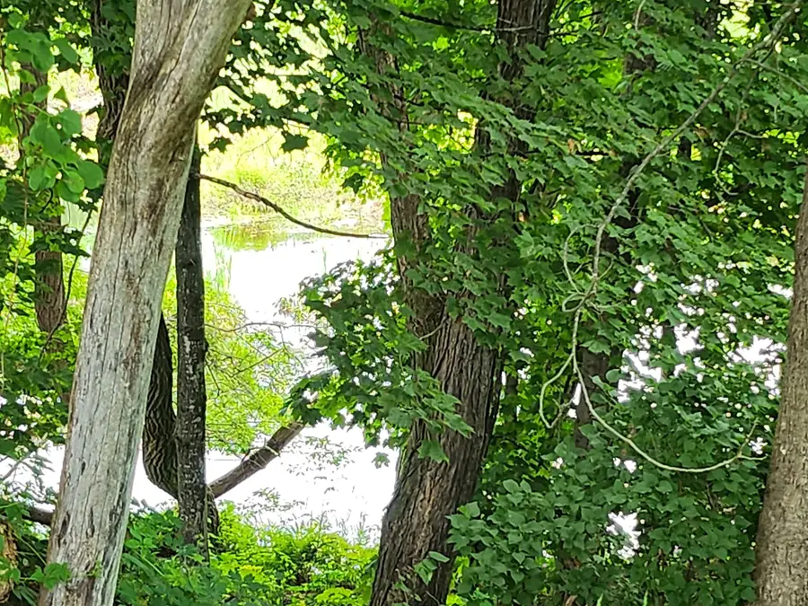 126 Meredith Center Road, Meredith, NH 03253 - #3