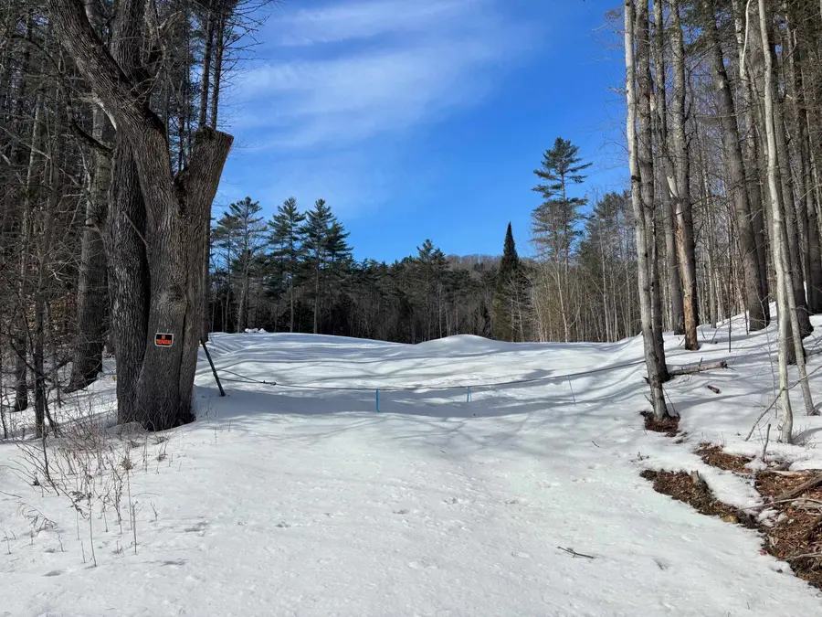 00 Lower Waterford Road, Waterford, VT 05848 - #2