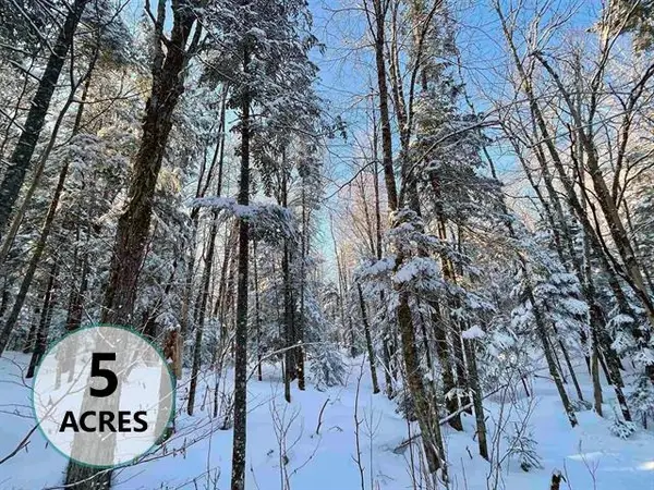 00 Mountain Road, Burke, VT 05832