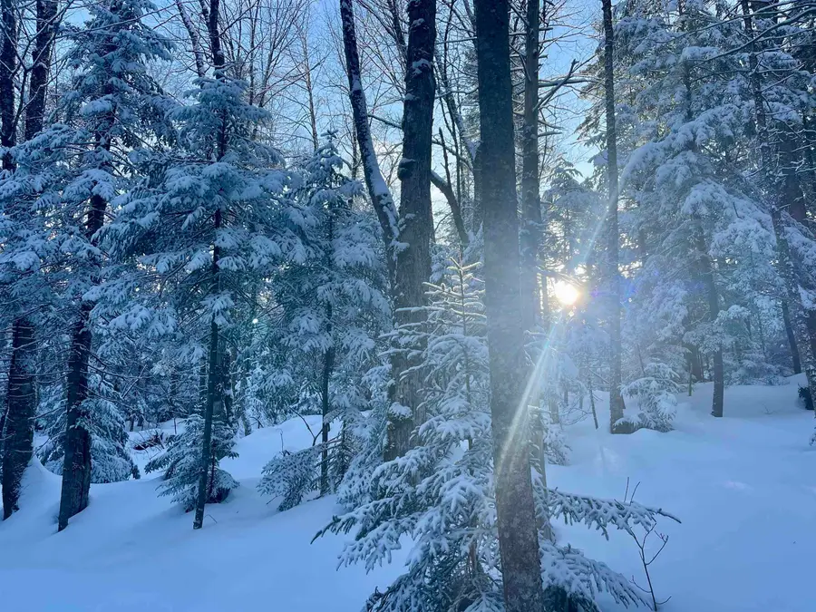 00 Mountain Road, Burke, VT 05832 - #2