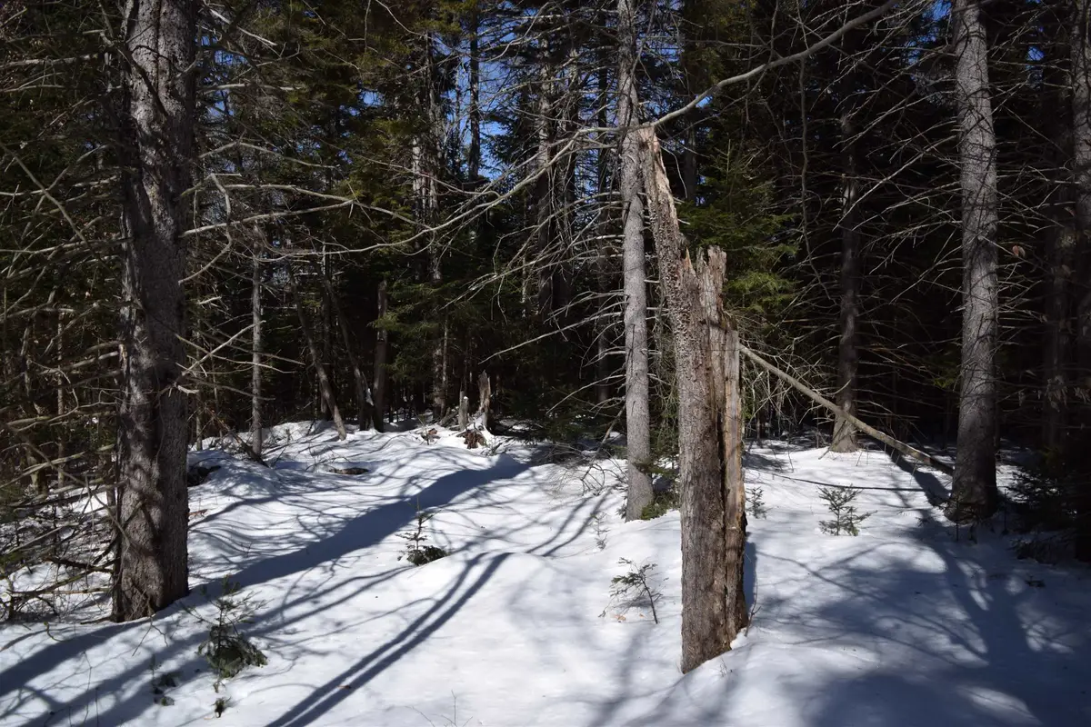 Lot 141 Presidential Drive, Washington, NH 03280 - #1