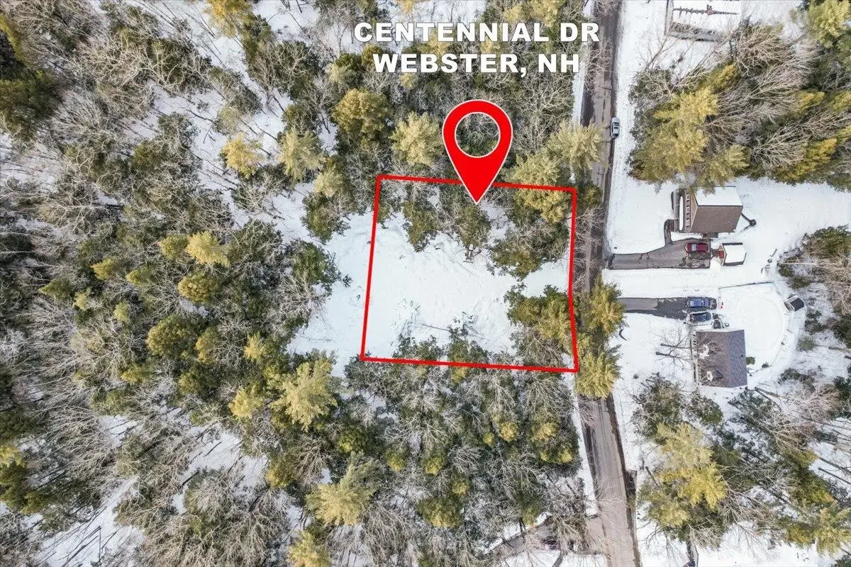 M10 L05 S37 Centennial Drive, Webster, NH 03303 - #1