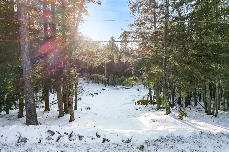 M10 L05 S37 Centennial Drive, Webster, NH 03303 - #2