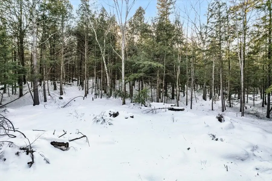 M10 L05 S37 Centennial Drive, Webster, NH 03303 - #3