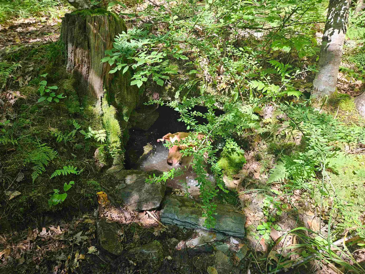 Lot 3.2 Off Parker Road, Lisbon, NH 03585 - #1