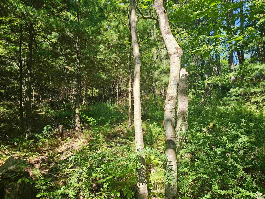 Lot 3.2 Off Parker Road, Lisbon, NH 03585 - #2