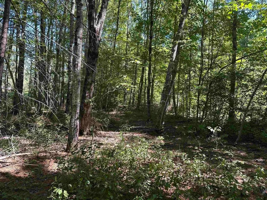 12 Baxter Place, Alton, NH 03809 - #1