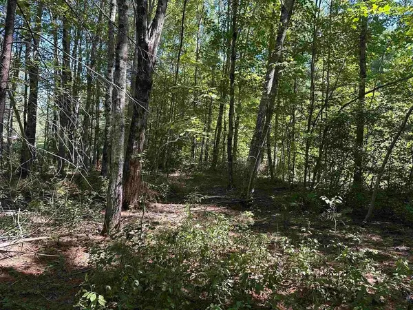 12 Baxter Place, Alton, NH 03809