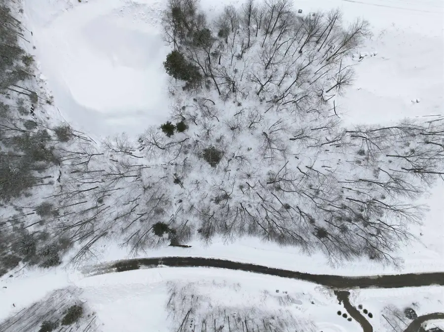 8 Buck Road, Lincoln, NH 03251 - #2