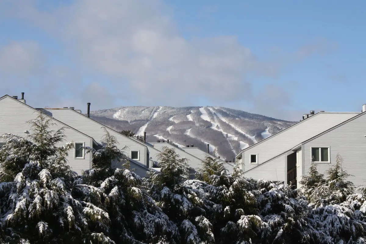 32 Route 103 South #F1, Ludlow, VT 05149 - #1