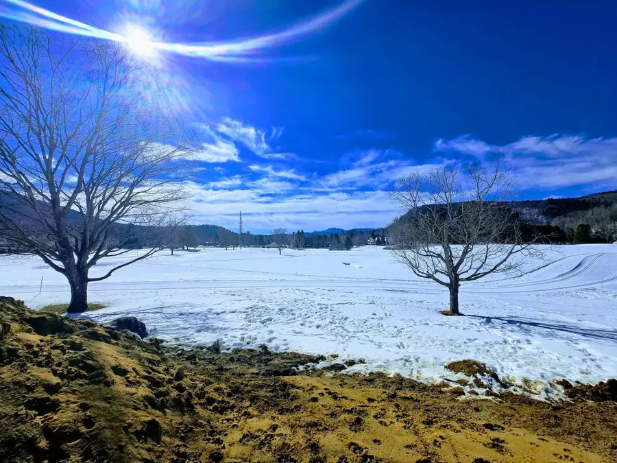 7A Hurlin Lane, Jackson, NH 03846 - #2