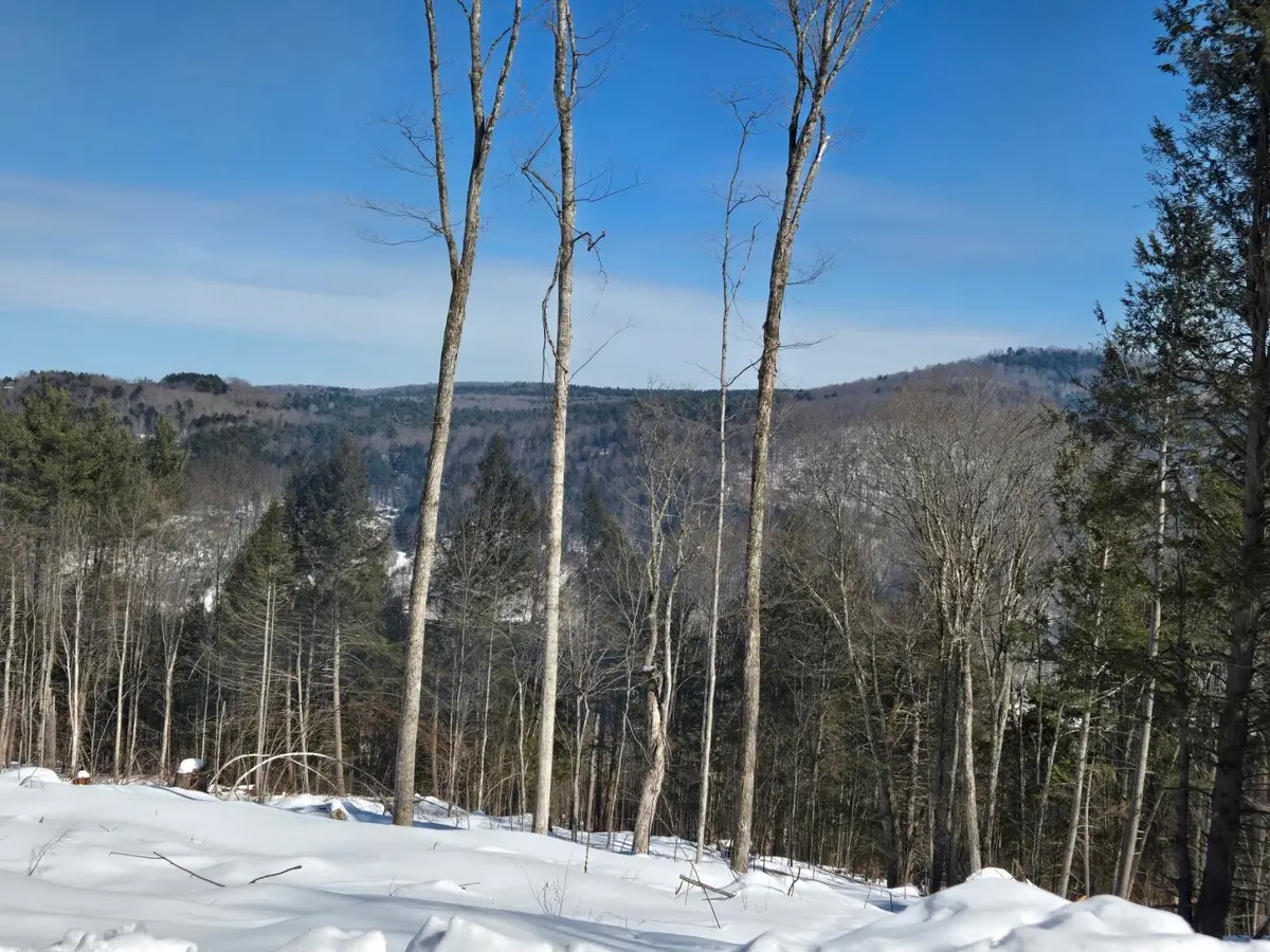 00 VT Rte 12 Lot 1-2 Highway, Barnard, VT 05031 - #1