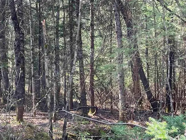 Simms Stream Road, Colebrook, NH 03576 - #3