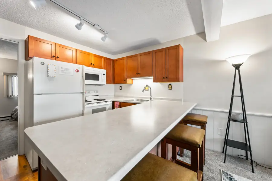 46 Linderhof Golf Course Road #D5, Bartlett, NH 03838 - #3