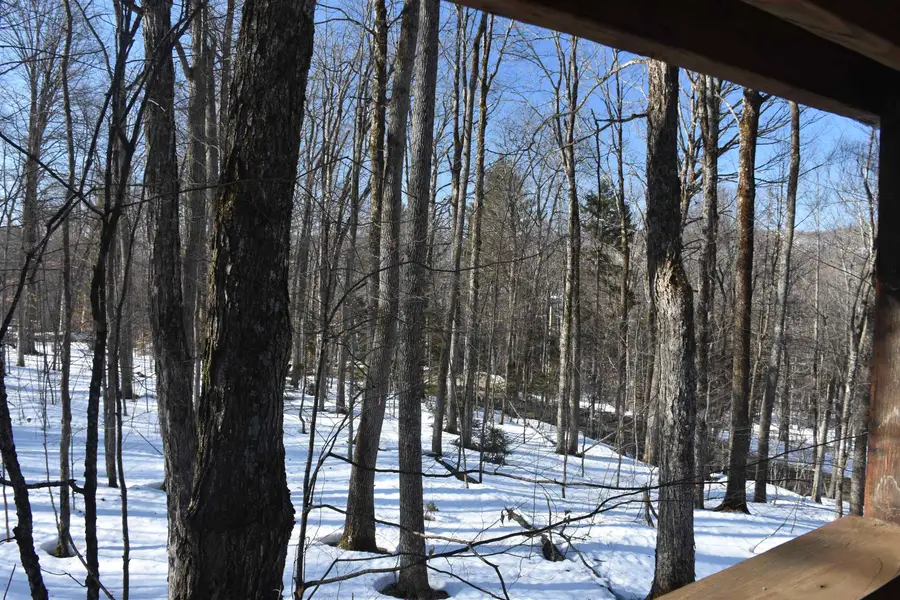 397 Winch Hill Extension, Roxbury, VT 05663 - #3