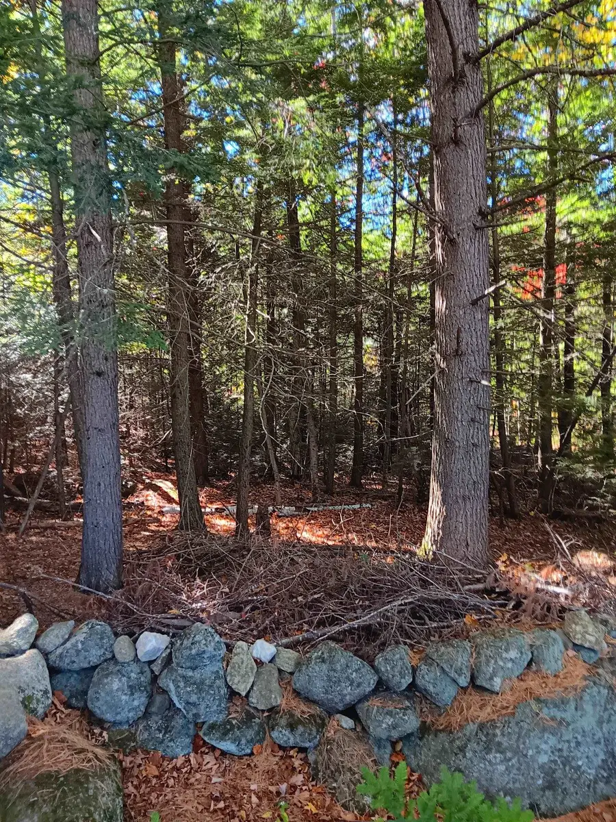 20-46 Dole School House Road, Washington, NH 03280 - #2