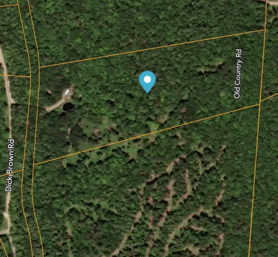 1850 Dick Brown Road, Bridgewater, NH 03222 - #3