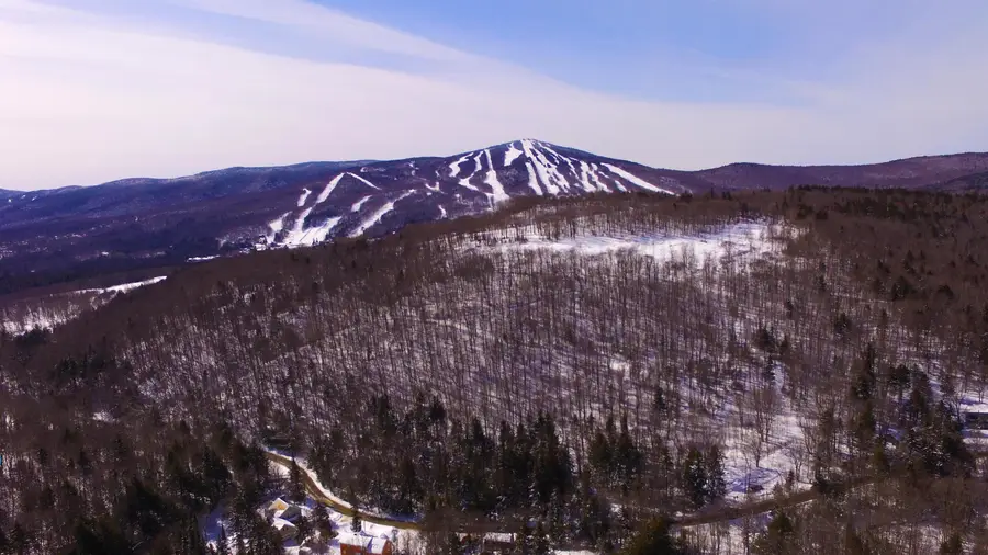 16 Overlook Drive, Dover, VT 05356 - #3