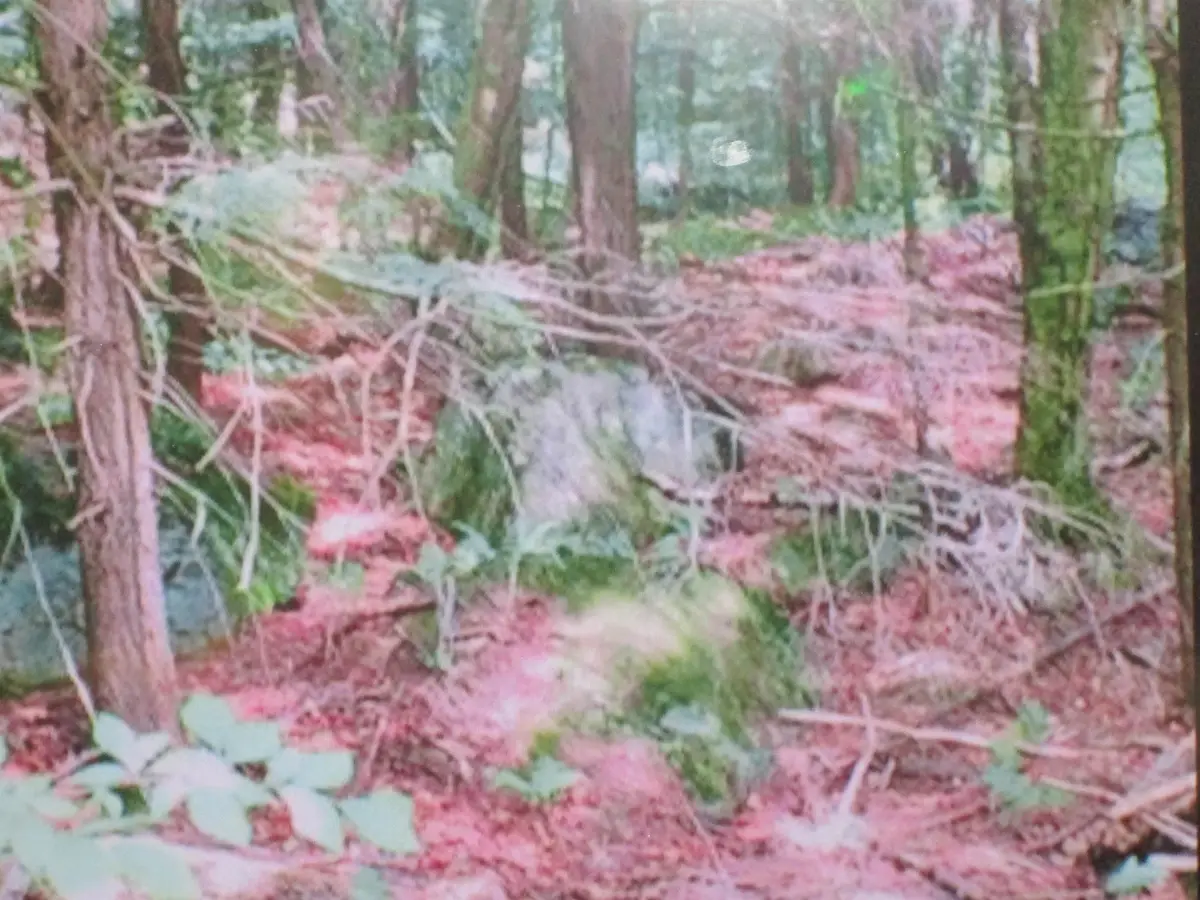 107-11.1 Wood lot Lane, Stoddard, NH 03464 - #1