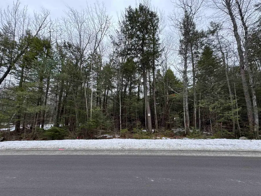 26-14 Winnipesaukee Drive #town lot 26 subdivision lot 14, Wolfeboro, NH 03894 - #3