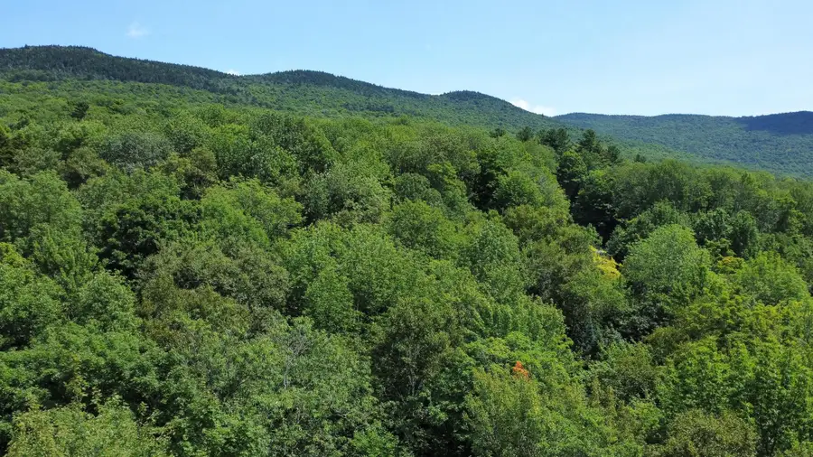 00-1 Prickly Mountain Road, Warren, VT 05674 - #2