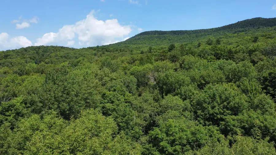 00-1 Prickly Mountain Road, Warren, VT 05674 - #3