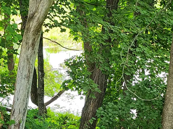 126 Meredith Center Road, Meredith, NH 03253